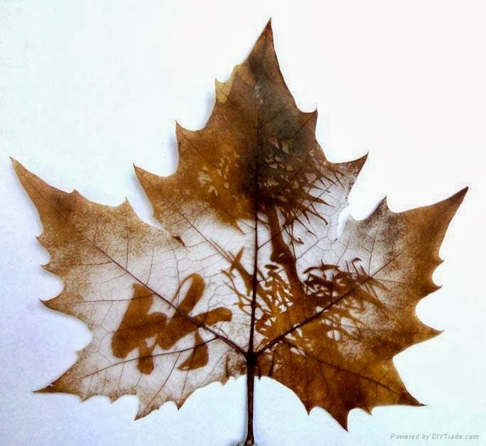 Leaf+Carving (15).jpg